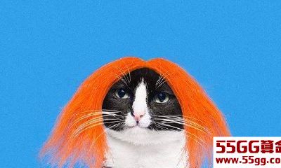 苏珊米勒每日运势12.21｜狮子健康生活；处女大胆创新