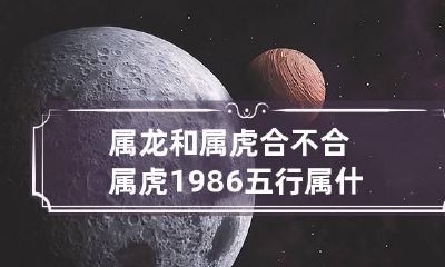 属龙和属虎合不合 属虎1986五行属什么