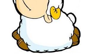 白羊和白羊的瓶子,等待结果