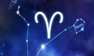 怎么追白羊座女孩？如何追白羊座女生？