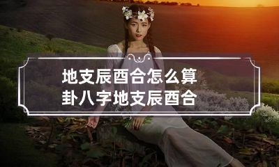 地支辰酉合怎么算卦 八字地支辰酉合