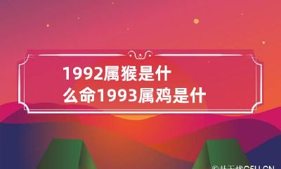 1992属猴是什么命 1993属鸡是什么命