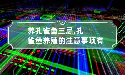 养孔雀鱼三忌,孔雀鱼养殖的注意事项有哪几点