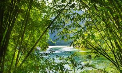 2020年农历六月初二大暑出行好不好？日子时辰吉凶？