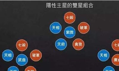 紫微命盘夫妻宫巨门旺