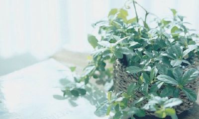 十二星座男精神出轨的表现