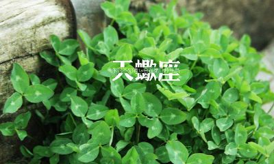 天蝎座不喜欢你的表现，早点放手吧