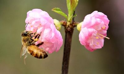 2018年桃花运最旺盛的星座