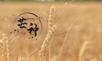 芒种有哪些习俗？芒种有什么风俗习俗？