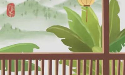 属兔的人养什么植物旺财 适合种什么植物