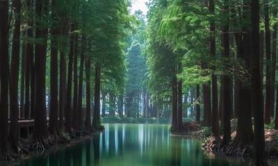 2020年什么时候倒春寒？春分后天气还会冷吗？