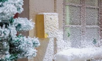 大雪是几月几日2019年？大雪节气有什么谚语？