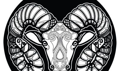 白羊座成功的本钱