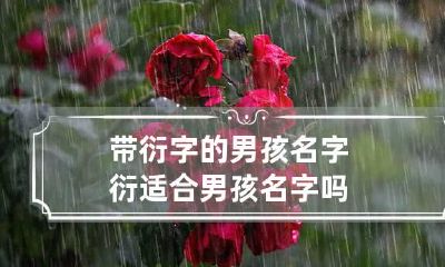 带衍字的男孩名字 衍适合男孩名字吗