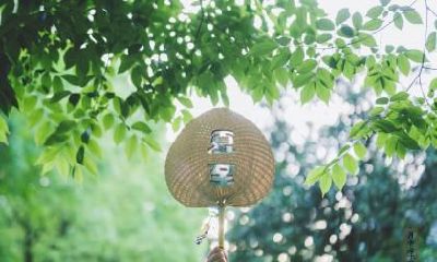 2020年夏至后的第三个庚日是哪一天？几月几日？