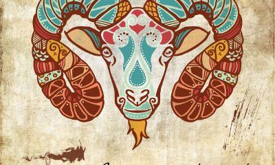 白羊座发展潜力