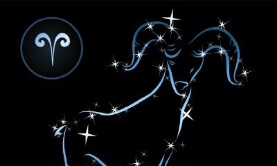 白羊座的经营能力