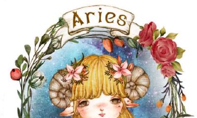 白羊座爆笑求亲