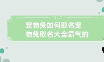 宠物兔如何取名 宠物兔取名大全霸气的