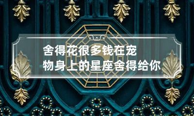 舍得花很多钱在宠物身上的星座 舍得给你花钱宠你的人的说说