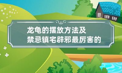 龙龟的摆放方法及禁忌 镇宅辟邪最厉害的摆件