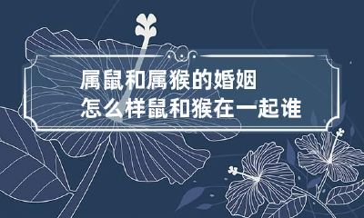 属鼠和属猴的婚姻怎么样 鼠和猴在一起谁带财