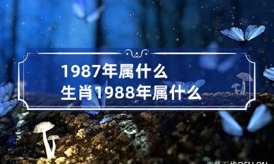 1987年属什么生肖 1988年属什么生肖的命