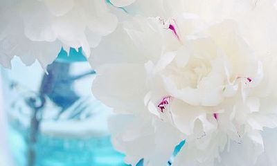 姓阙女孩名字属猪2019好听的