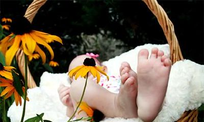 2019年农历八月十五中秋节出生的猪宝宝命运