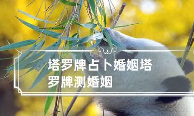 塔罗牌占卜婚姻 塔罗牌测婚姻