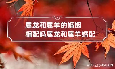属龙和属羊的婚姻相配吗 属龙和属羊婚配好不好