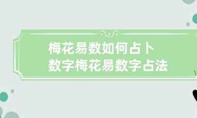 梅花易数如何占卜数字 梅花易数字占法