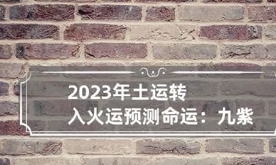 2023年土运转入火运预测命运：九紫离火运什么行业好