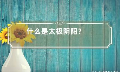 什么是太极阴阳？