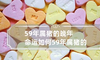 59年属猪的晚年命运如何 59年属猪的终身寿命