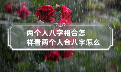 两个人八字相合怎样看 两个人合八字怎么看