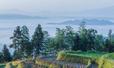 2020年端午节旅游的最佳去处一览,端午节人少景美的景点！