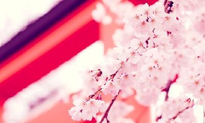 姓仇女孩名字属猪2019好听的