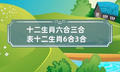 十二生肖六合三合表 十二生肖6合3合