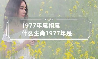 1977年属相属什么生肖 1977年是什么