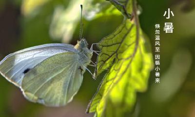 2020年小暑天气热吗，入伏了吗？