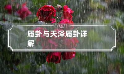 履卦与天泽履卦详解