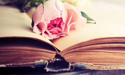 智商测试：你保送研究生的机率有多少