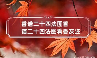 香谱二十四法图 香谱二十四法图看香灰还是香柱