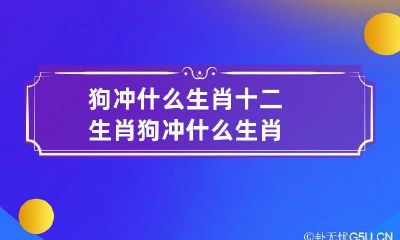 狗冲什么生肖 十二生肖狗冲什么生肖