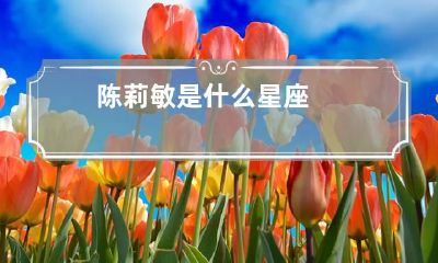 陈莉敏是什么星座