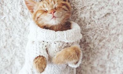 闹闹女巫店一周星座运势（2019.08.26-09.01）