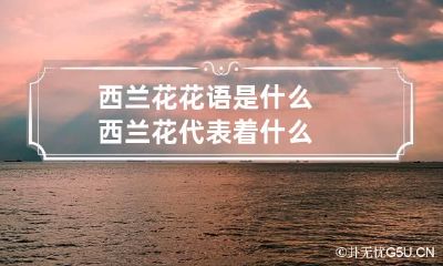 西兰花花语是什么 西兰花代表着什么