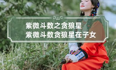 紫微斗数之贪狼星 紫微斗数贪狼星在子女宫