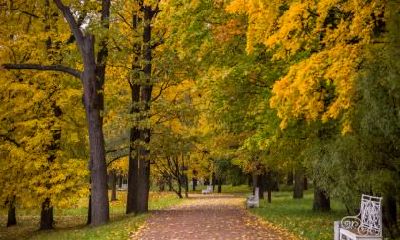 2019年大雪节气后一天适合出行吗？冬天出行要注意什么？